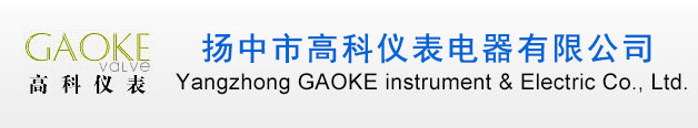 扬中·高科（GAOKE）仪表电器有限公司